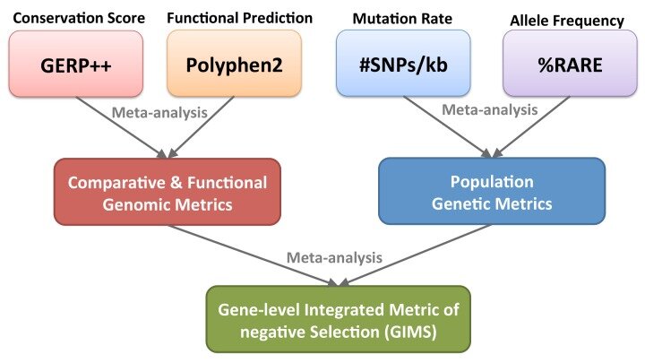 Comparative genomic metrics (GERP++), functional genomic metrics ...
