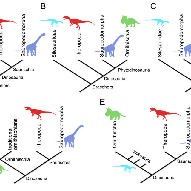 a new hypothesis of dinosaur relationships and early dinosaur evolution