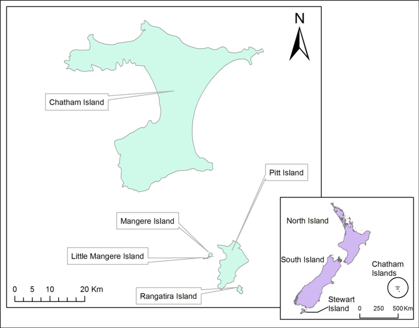 Situation Of The Chatham Islands Group Relative To The New Zealand Main Download Scientific Diagram
