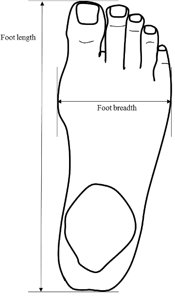 Anthropometric dimension of foot length and width Downloaded from ...