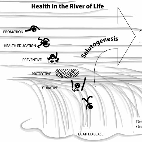Health In The River Of Life Download Scientific Diagram