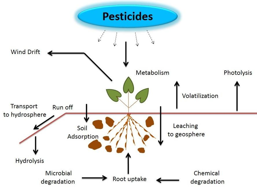 The structure of the pesticide. Types of pesticides. Chemical structure of pesticides. Without pesticides. Effect plants