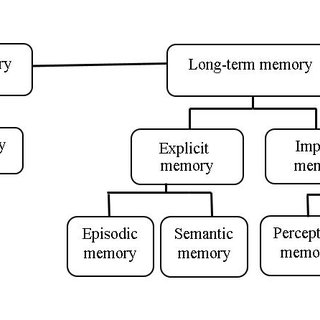 (PDF) Exploring the effects of ageing on short-term memory performance