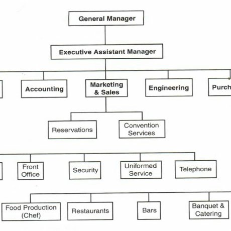 Typical Hotel Organization Chart Showing The Gm S Position And The Line Download Scientific Diagram