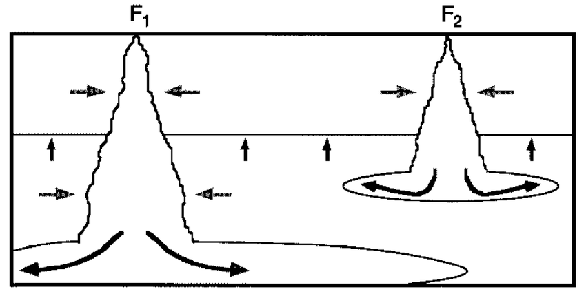 Schematic Diagram Of The Two Plume Filling Box F Is The Buoyancy Flux