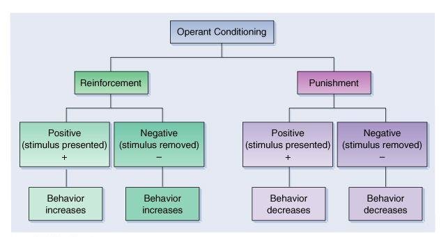Operant Conditioning Chart