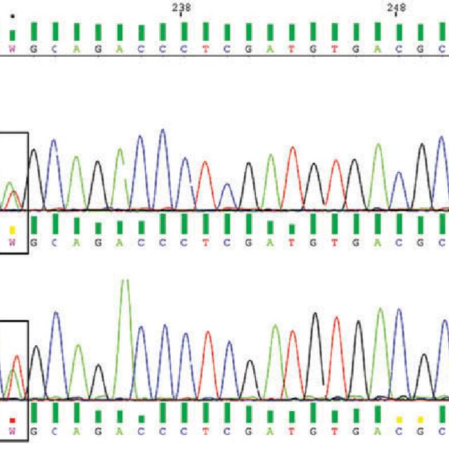 Sanger Sequencing Electrophoregram Showing A Composite Heterozygous Download Scientific Diagram 