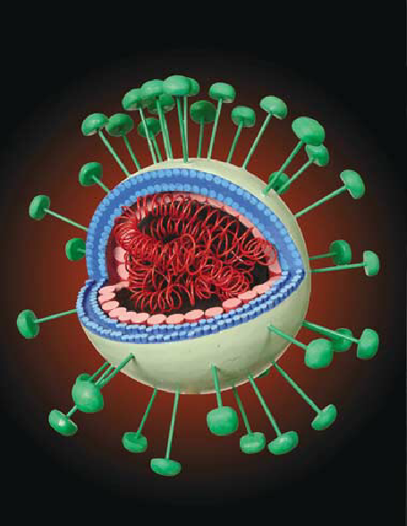 Image result for sars virus