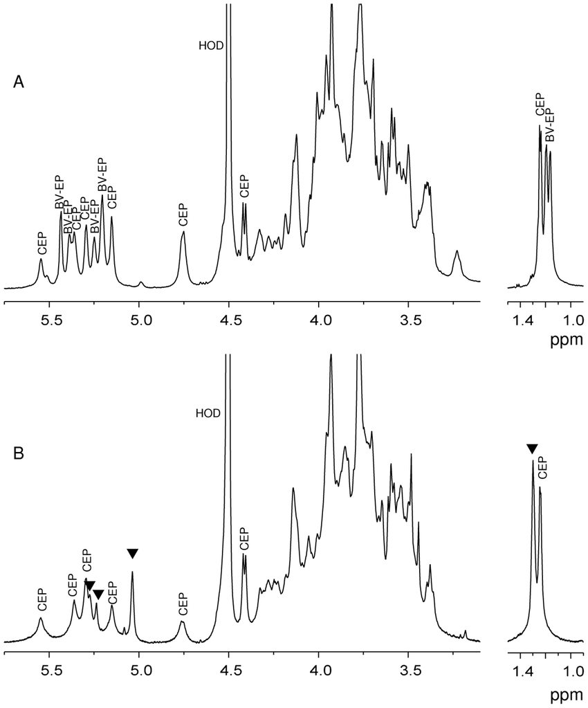 1H NMR spectra of the exopolysaccharides produced by B 