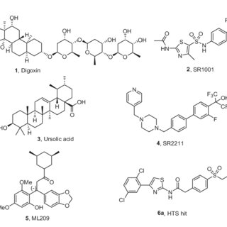 Discovery of Novel 1-Cyclopentenyl-3-phenylureas as Selective, Brain  Penetrant, and Orally Bioavailable CXCR2 Antagonists