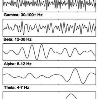 This Frequency bands of EEG signal [22] | Download Scientific Diagram