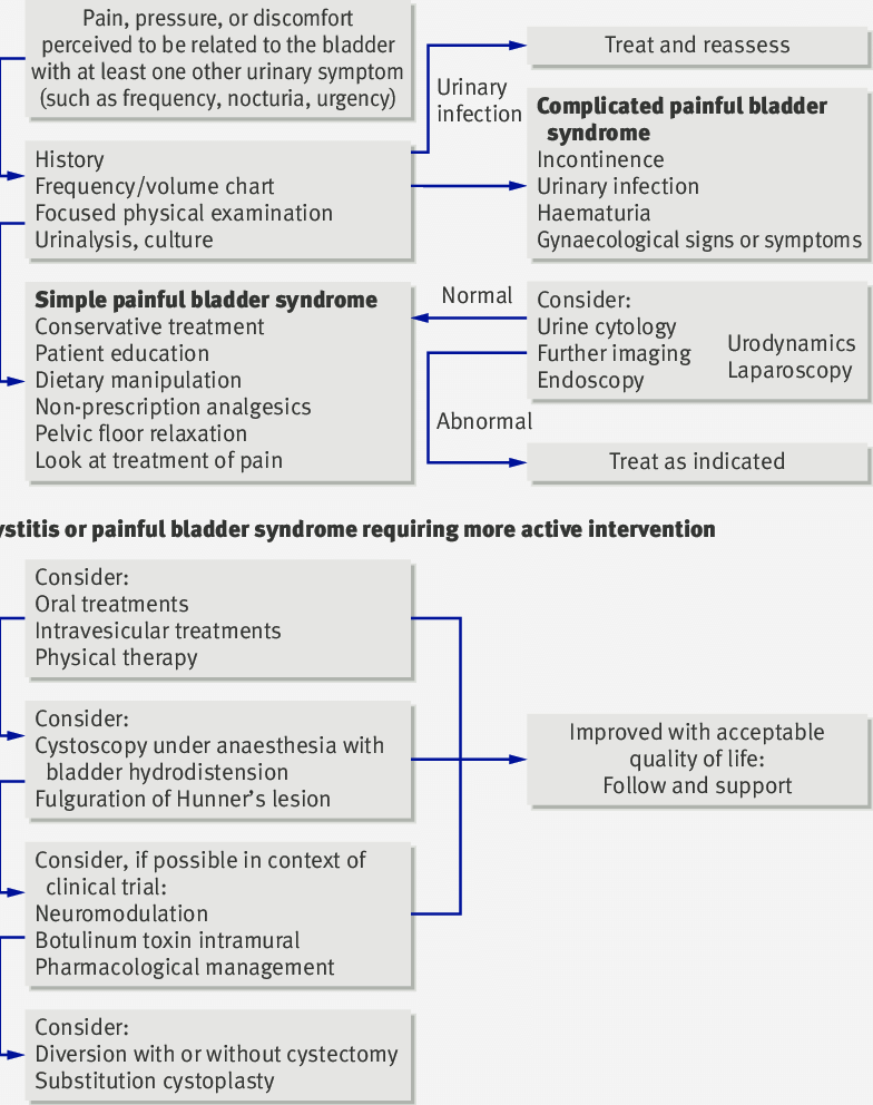 Diagnostic Algorithm For Interstitial Cystitis Or Painful Bladder