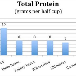 Total Protein in Various Grains and Legumes per Half Cup