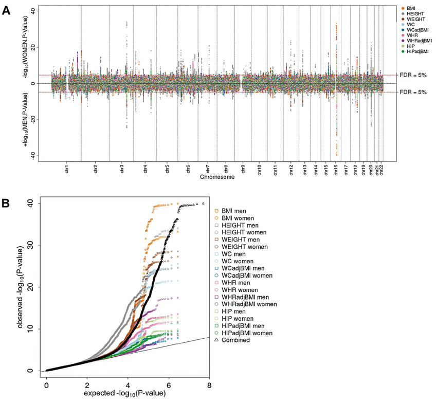 Genome-wide scan for sex-specific genome-wide association highlights ...