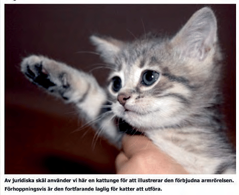 Hitler-saluting-kitten.ppm