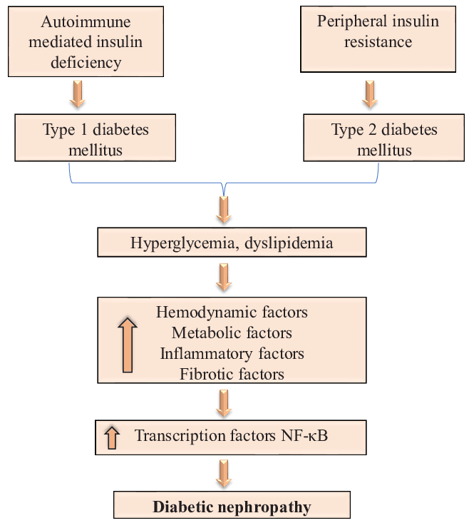 umkommen-sollst-die-schw-che-diabetic-nephropathy-mechanism-geb-hr