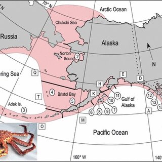 Map of the Bering Sea and Gulf of Alaska showing the geographic