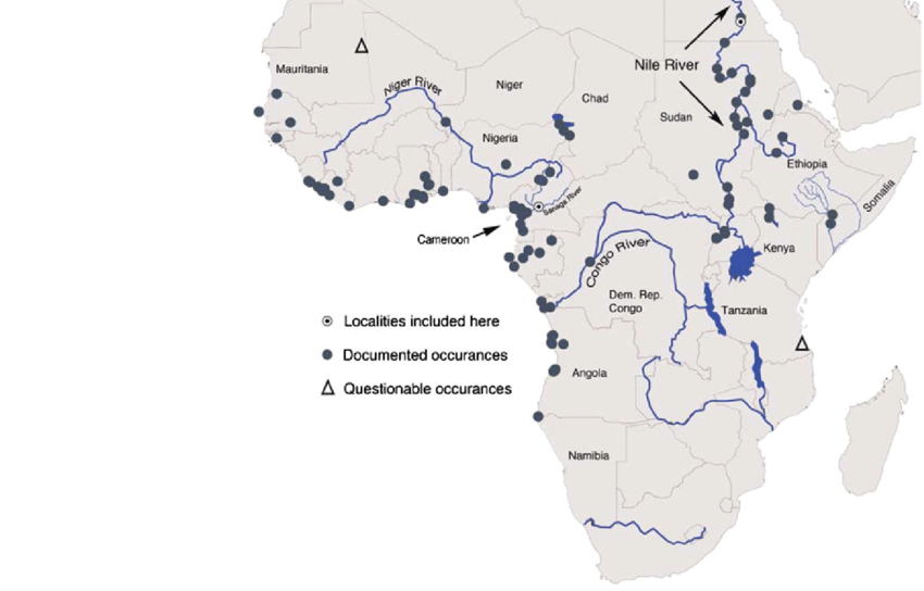 Как называется африканская река изображенная на карте. Крупнейшие реки Африки на карте. Реки на карте Африки контурная карта. Крупные реки Африки на контурной карте. Реки и озера Африки на контурной карте.