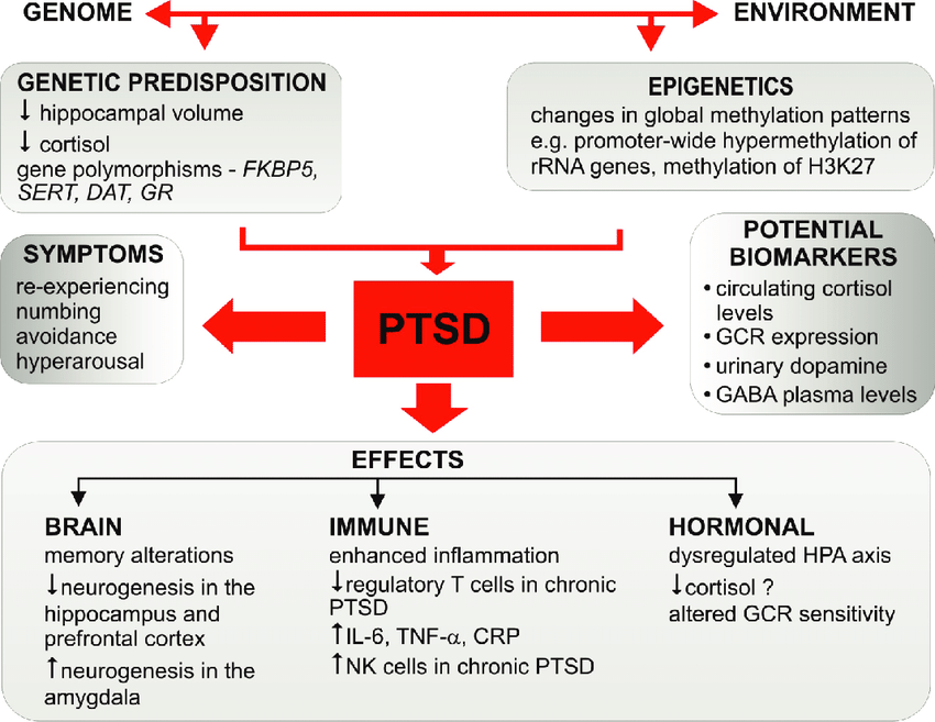 The Psychological Effects Of Post Traumatic Stress