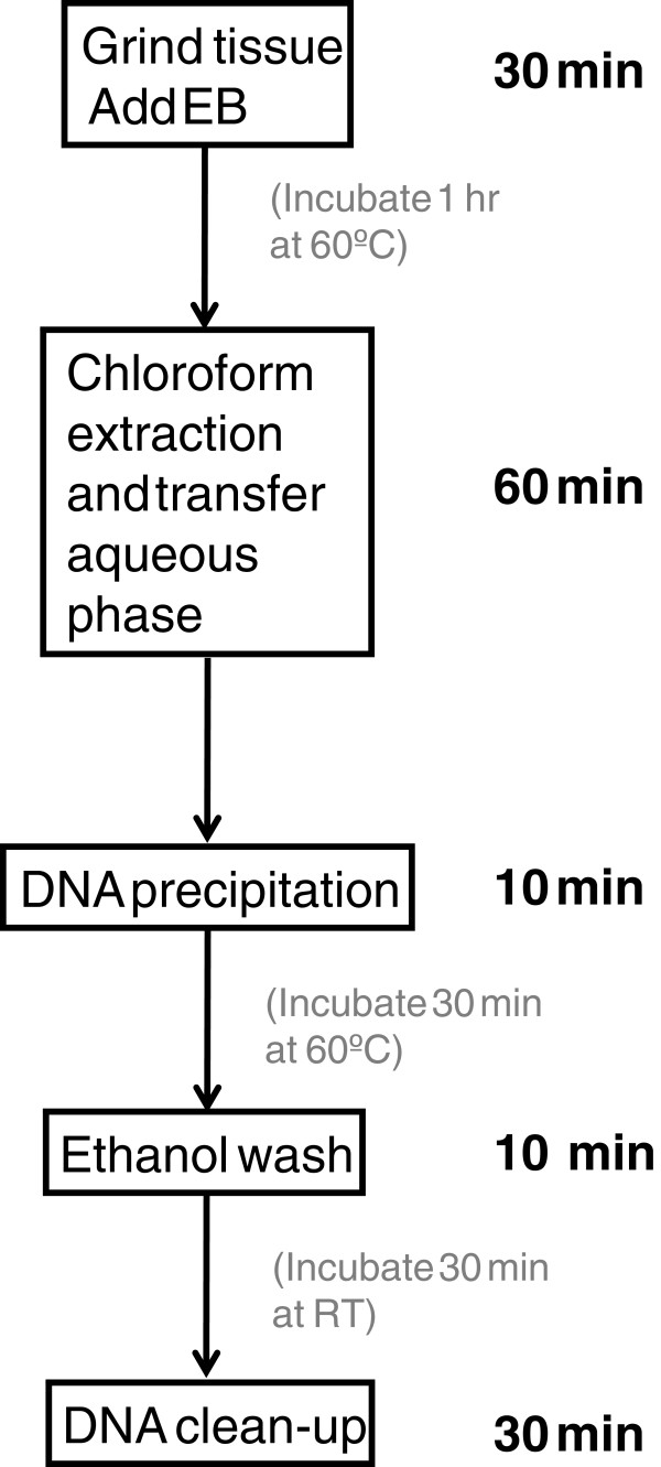 Flow Chart Of The Three Main Steps Of Pcr