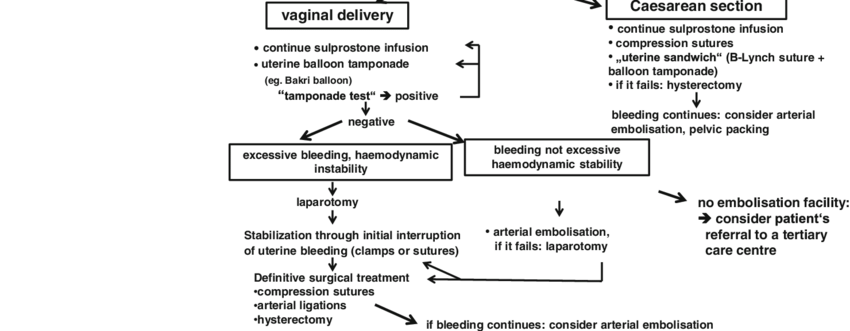Treatment Algorithm If Bleeding Continues Due To Uterine Atony After Download Scientific
