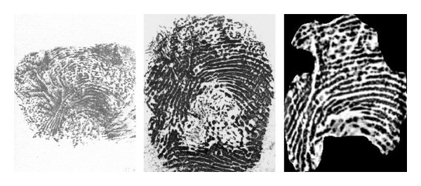 Épinglé sur Hand/fingerprints