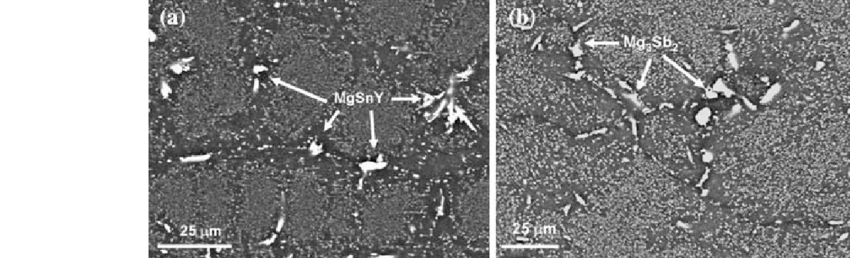 SEM micrographs of alloy 1 (a) and alloy 2 (b) after aging for 12 days...