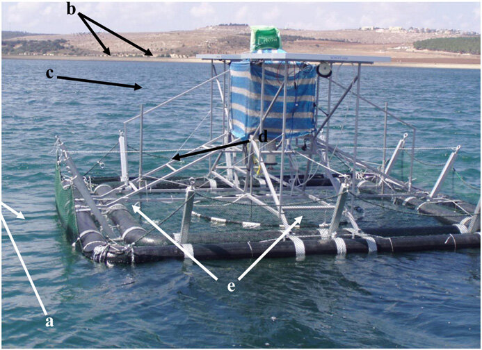 The floating fishing machine used by Zion et al. (2011b) showing