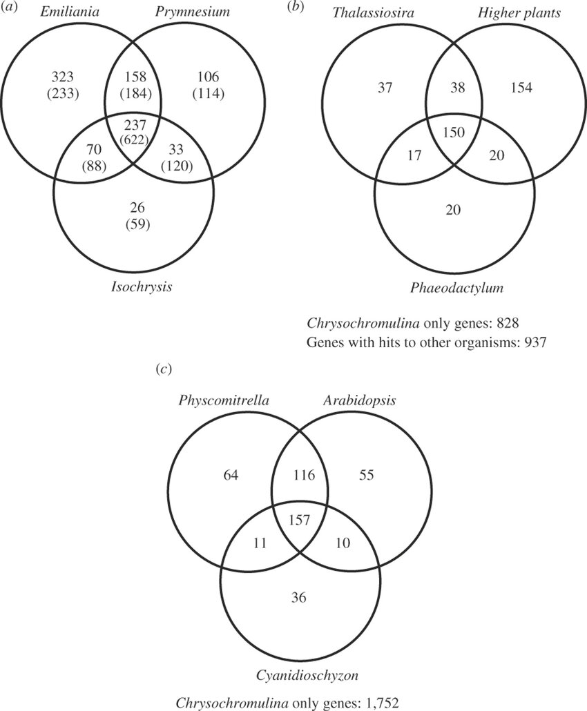 Venn diagrams depicting matches of Chrysochromulina polylepis ESTs to ...