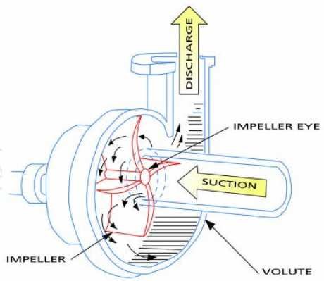 1. Different parts of a centrifugal pump.