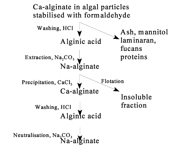 Sodium Alginate - an overview