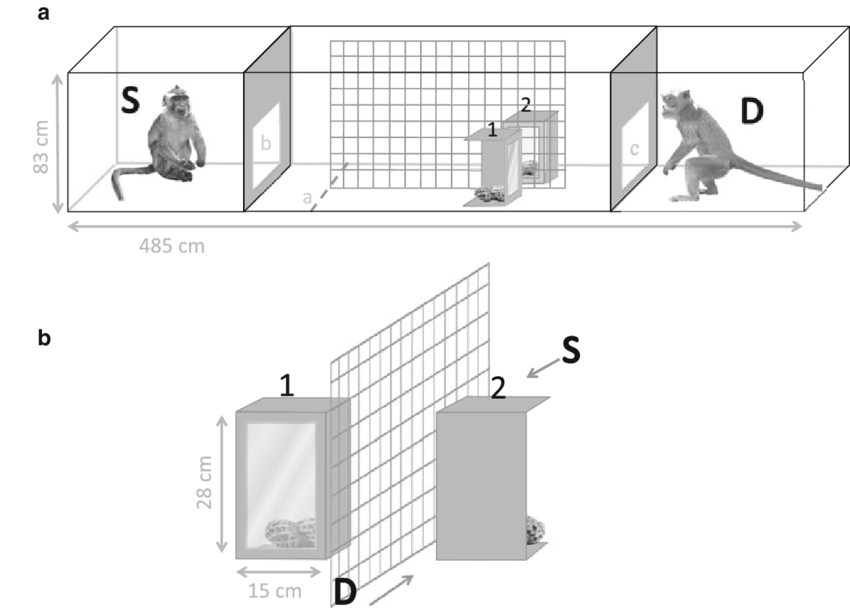Schematic outline of a the complete test cage, and b a detail of the