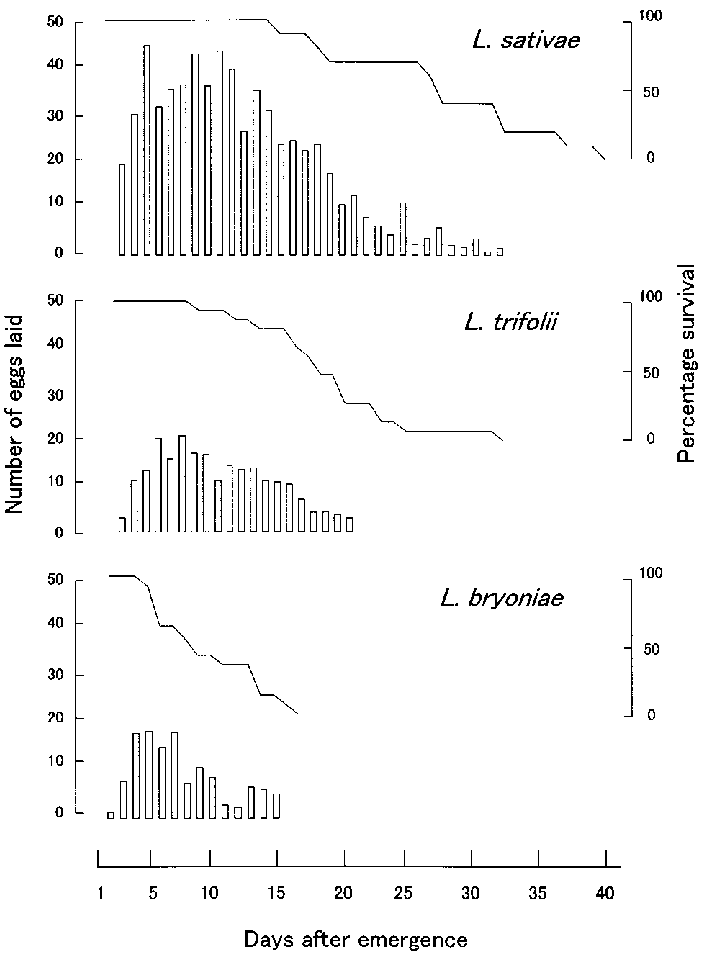 Survival and daily fecundity of Liriomyza sativae, L. trifolii, and L ...