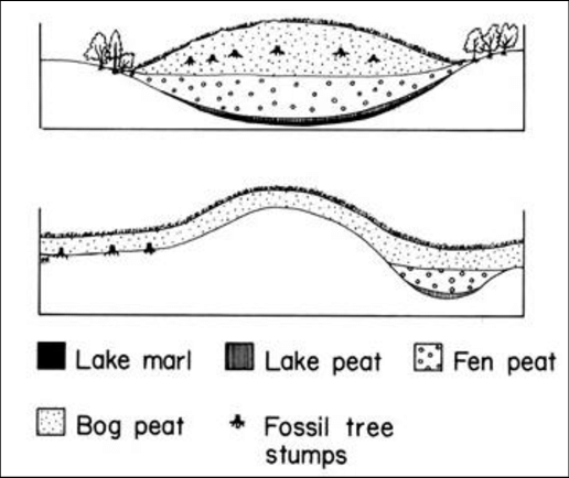 Serrated Villain udvide 1. Schematic of raised bog (top) and blanket bog (bottom) formation. |  Download Scientific Diagram