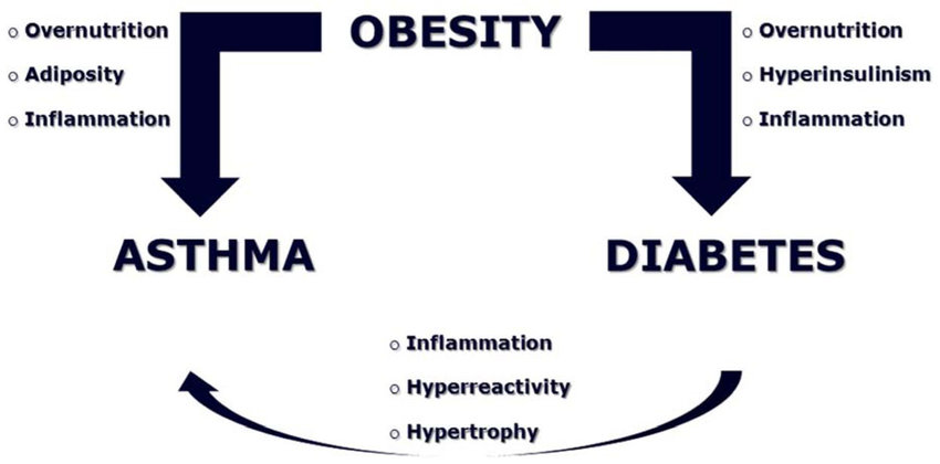 The Relationship Between Childhood Obesity And Asthma
