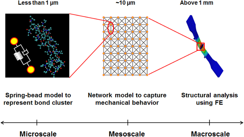 Modeling of smart polymer materials at the microscale, mesoscale and