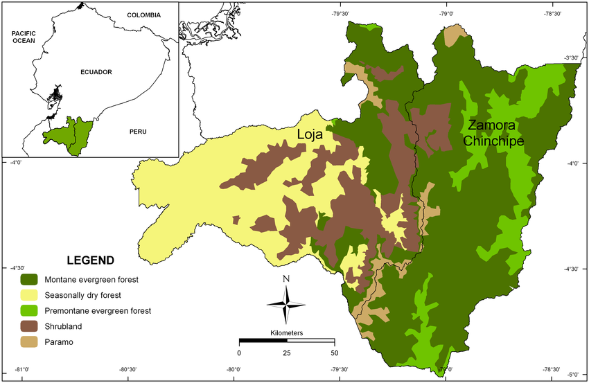 distribution of natural vegetation in the world