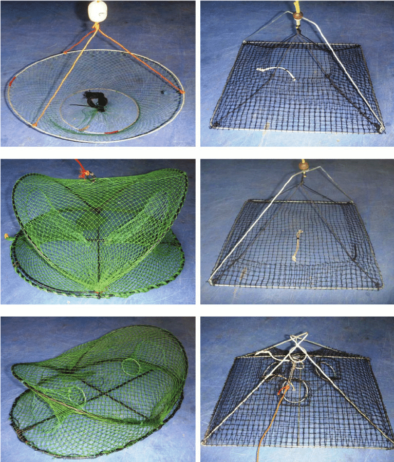 Clockwise from top left: lift net (LN), pyramid trap long side