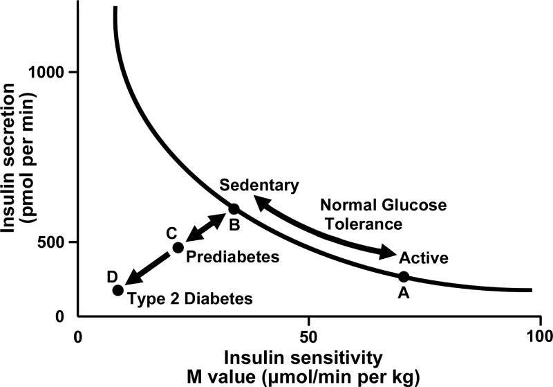 Insulin sensitivity and insulin secretion