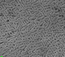 High entropy alloy microstructure. SEM microscopy. (x10000). | Download ...