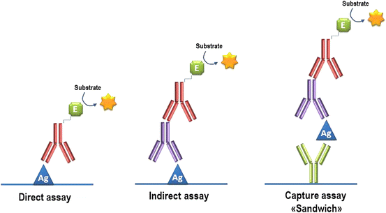 ELISA formats, from left to right: direct, indirect and sandwich assay ...