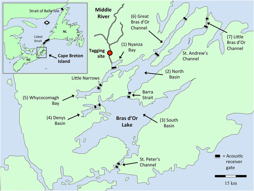 Map of the Ocean Tracking Network's Bras d'Or Array in Cape Breton