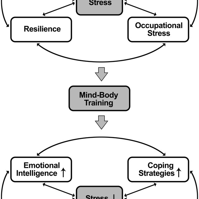 model of the effects of MBT perceived stress, | Download Scientific Diagram