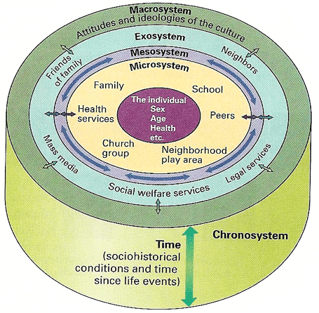 bronfenbrenners ecological theory