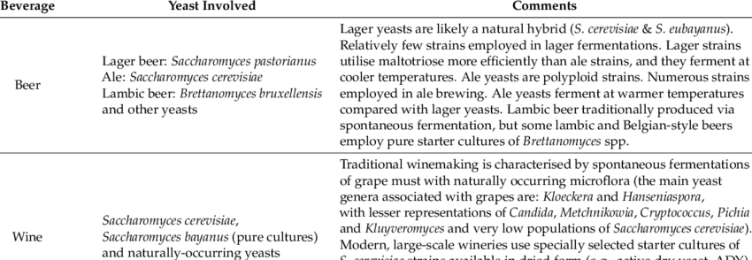 Alcoholic Fermentation: What Is It, and Why Is It Important?