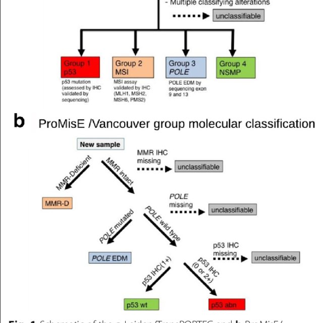 Favoured Pragmatic Model For Molecular Classification Of Endometrial