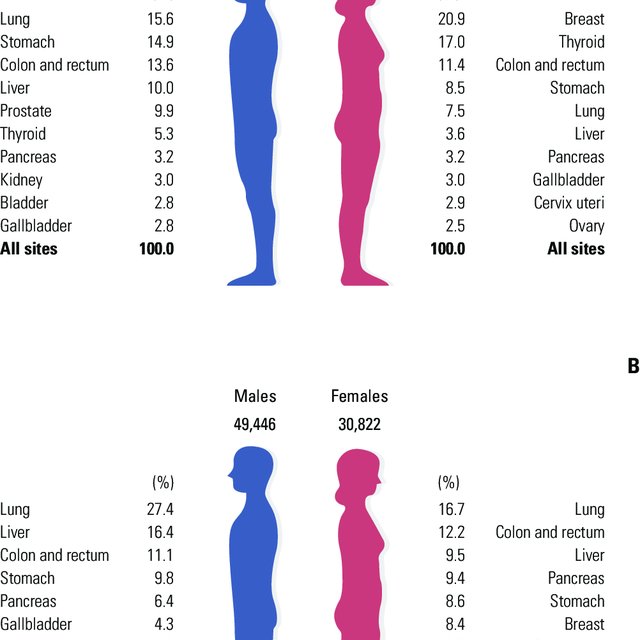 The 10 Leading Types Of Estimated New Cancer Cases And Deaths By Sex In