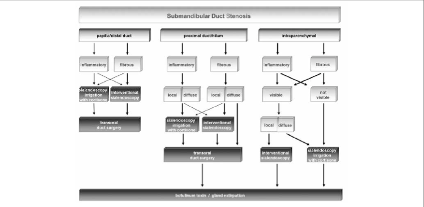 Treatment algorithm for stenoses in Wharton´s duct system (from Koch et ...