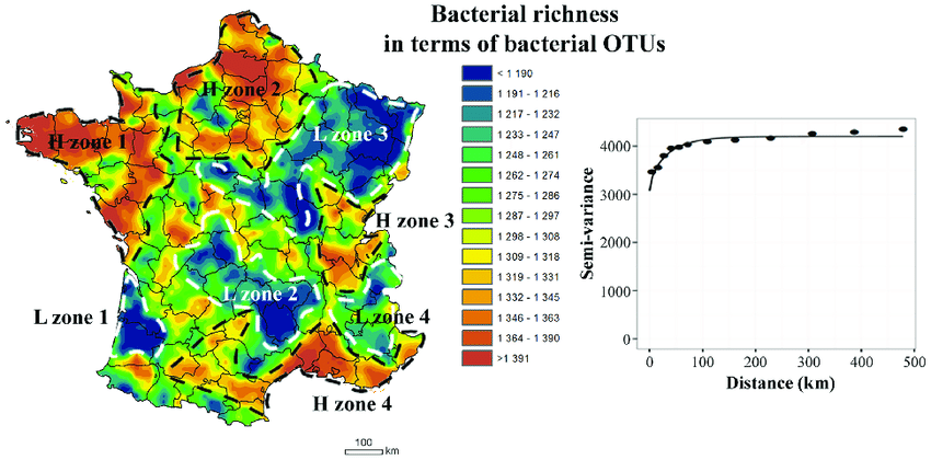 Mapping and robust variograms of soil  bacterial richness 
