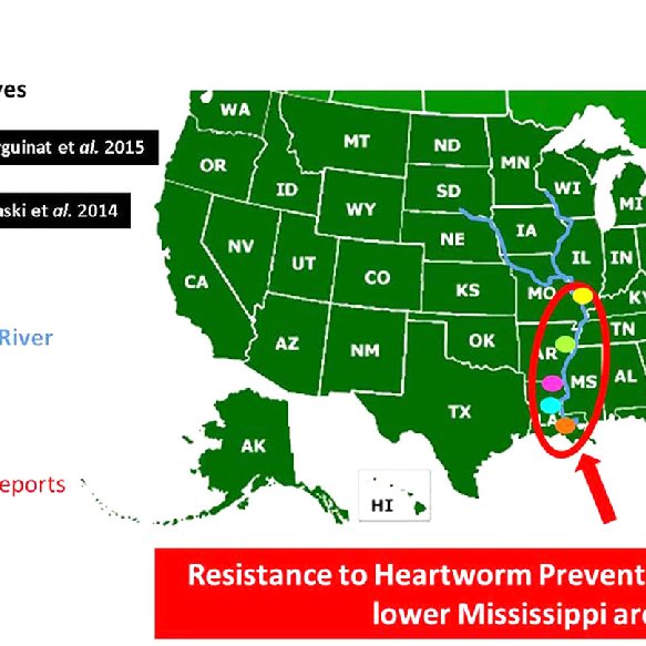Summary of locations where confirmed resistant isolates to heartworm ...